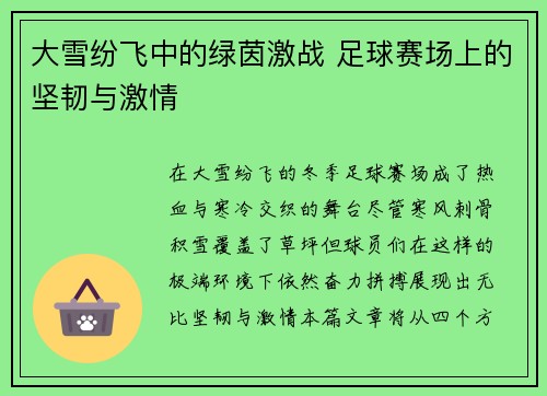 大雪纷飞中的绿茵激战 足球赛场上的坚韧与激情