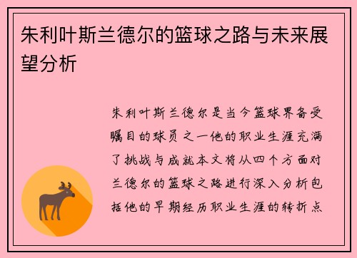 朱利叶斯兰德尔的篮球之路与未来展望分析