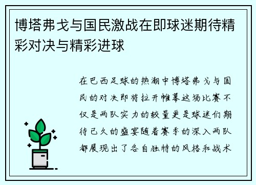 博塔弗戈与国民激战在即球迷期待精彩对决与精彩进球